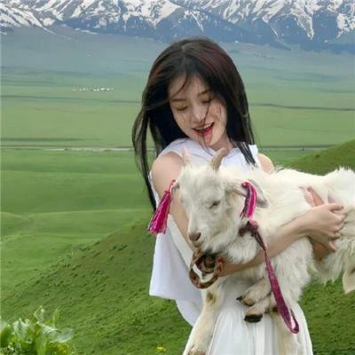 给你生命给我爱