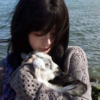 招笑猫
