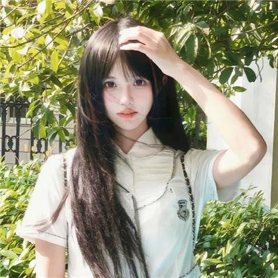 鱼与猫